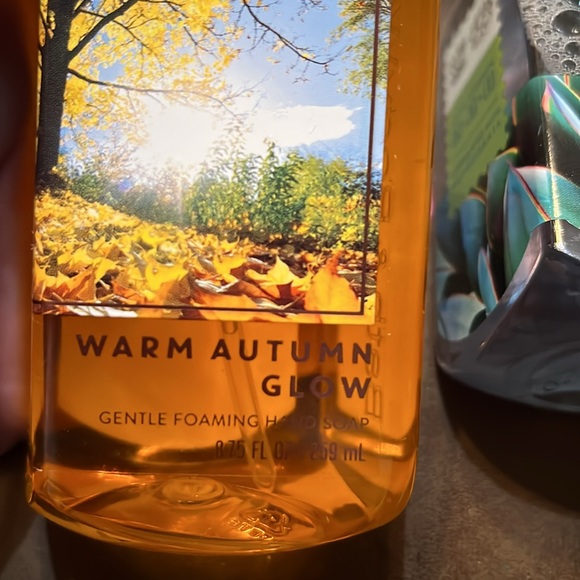 NWT Set of 3 Bath & Body Gentle Foaming Hand Soaps - Picture 2 of 7